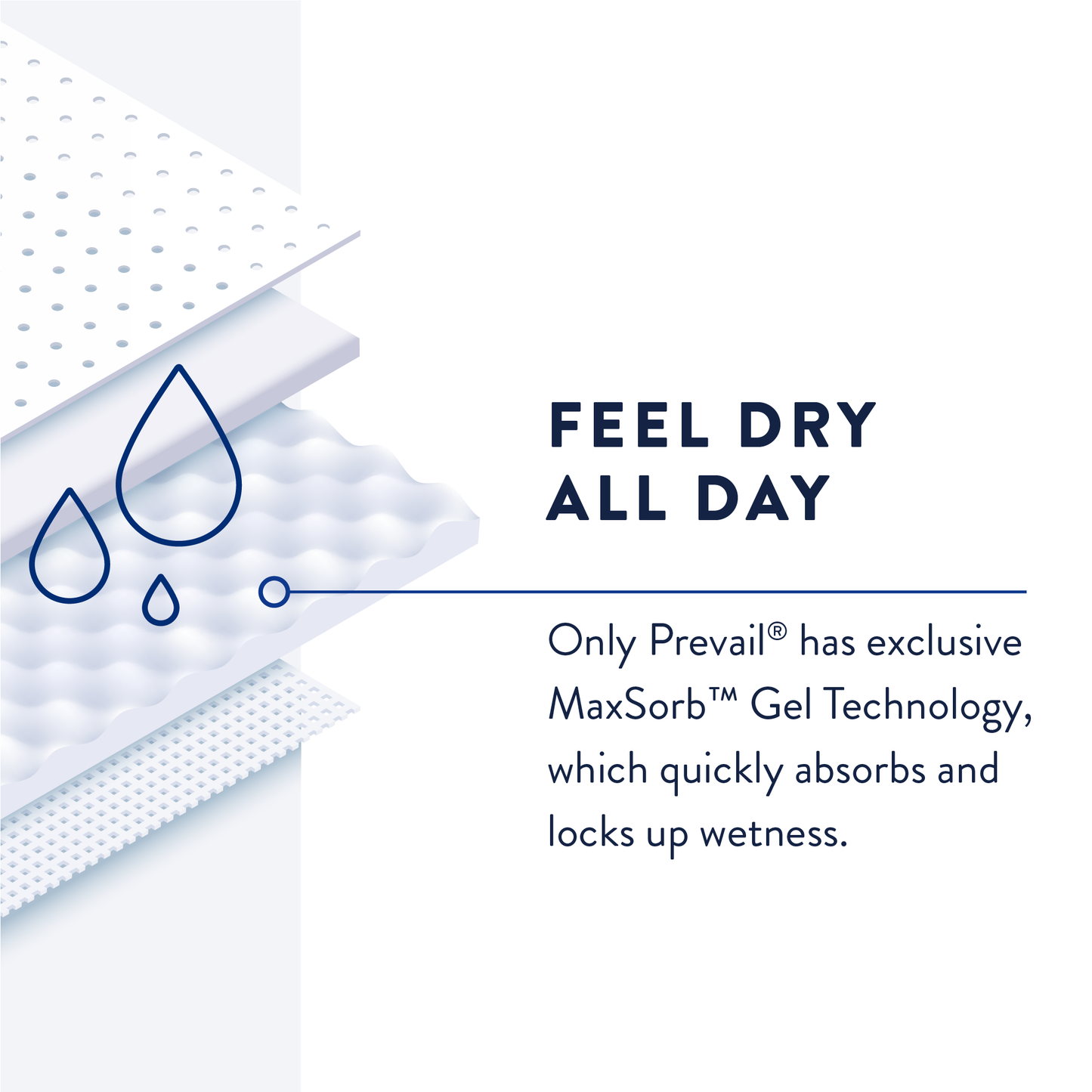 Prevail Pant Liners, Light to Maximum Absorbency