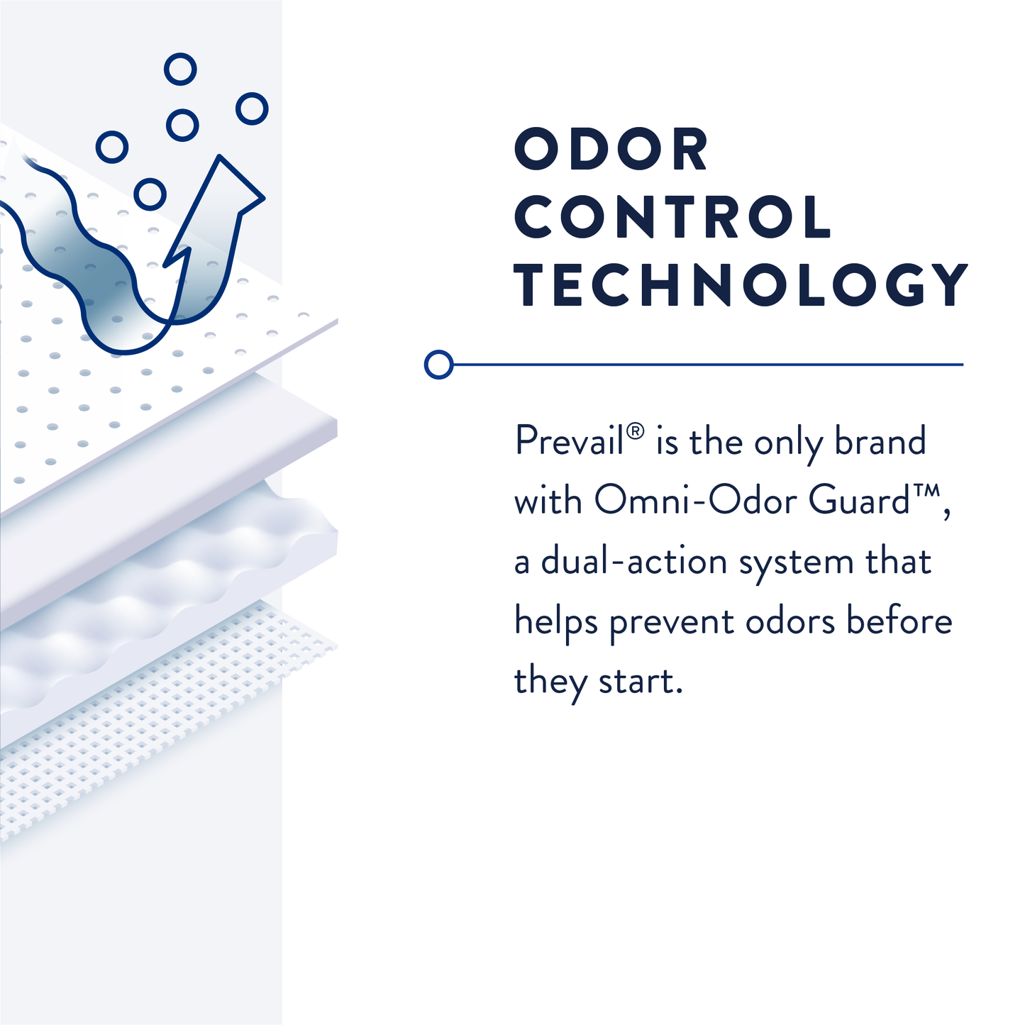Prevail Pant Liners, Light to Maximum Absorbency