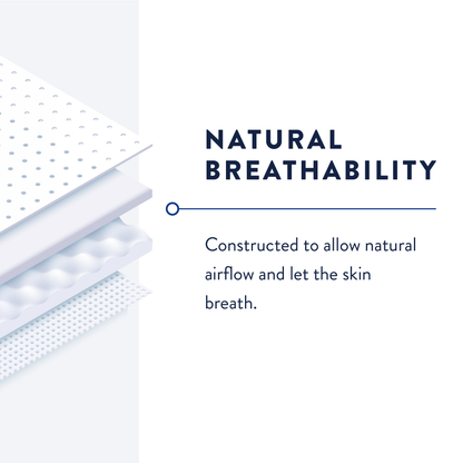 Prevail Pant Liners, Light to Maximum Absorbency